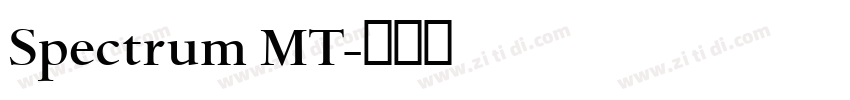 Spectrum MT字体转换